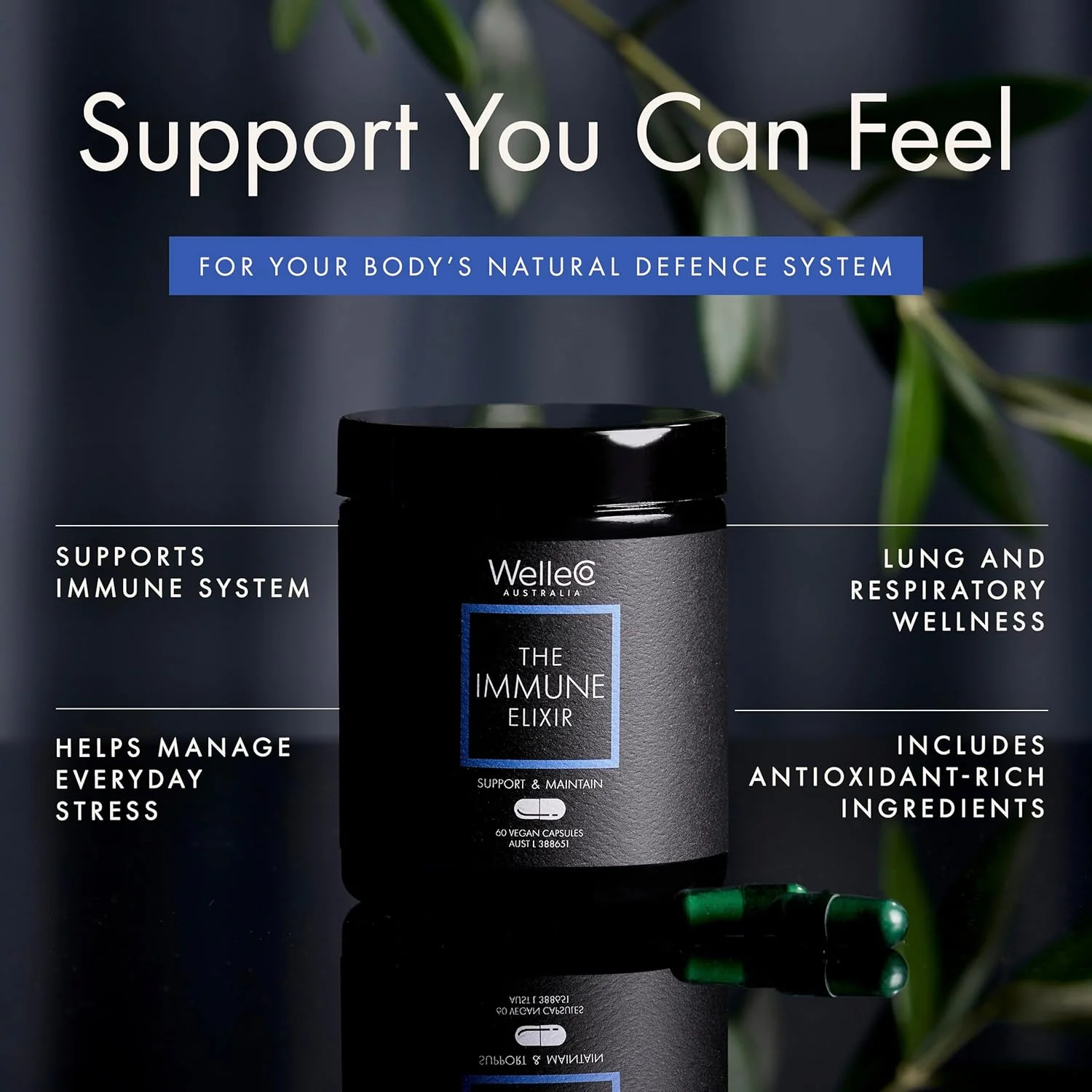 The Immune Elixir - Image 4